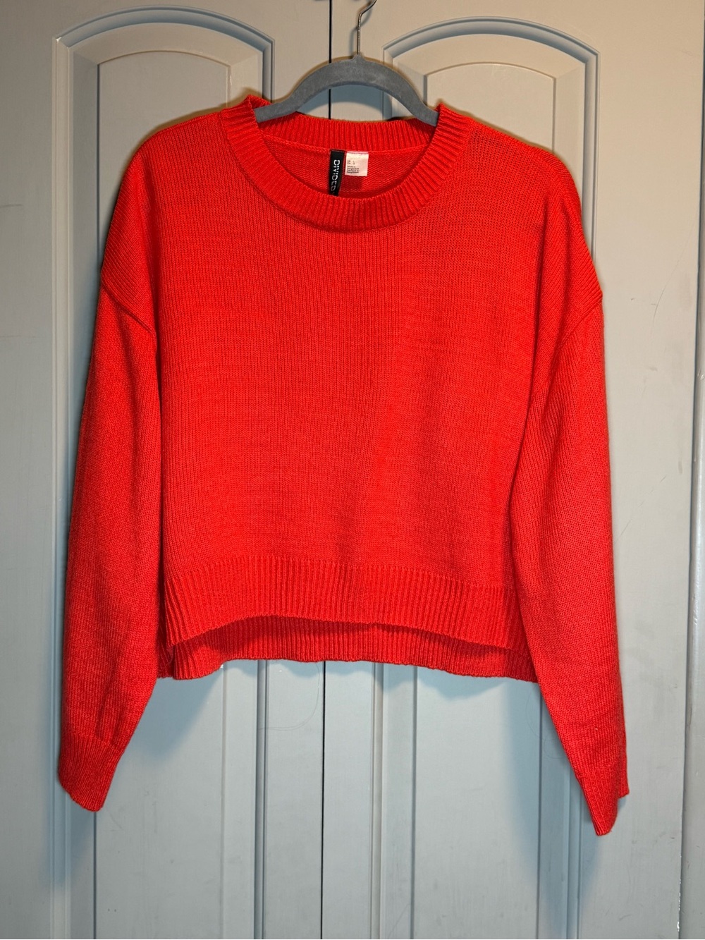Divided Red Cropped Crewneck Sweater